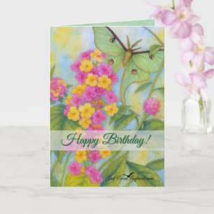 Painted Petals - Lantana Card