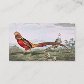 Painted Pheasants Business Card