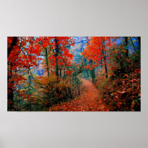 Painted Photograph Forest Autumn Flame Trail Poster