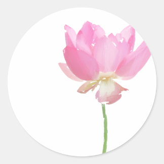 Painted Pink Lotus stickers