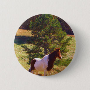 Painted Pony by the Pine 6 Cm Round Badge