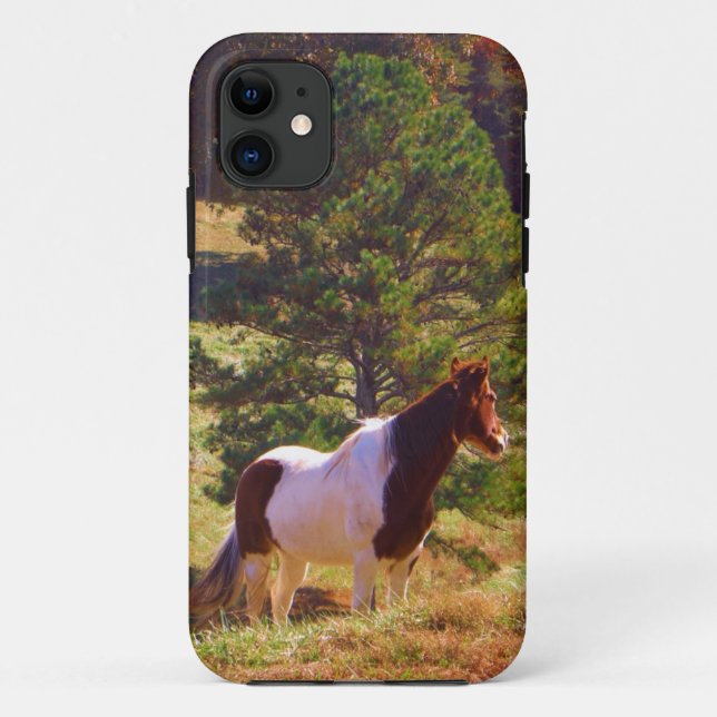 Painted Pony  by the Pine Case-Mate iPhone Case (Back)
