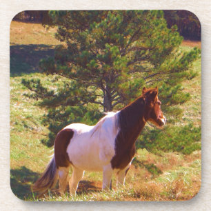 Painted Pony by the Pine Coaster