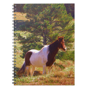 Painted Pony  by the Pine Spiral Notebook