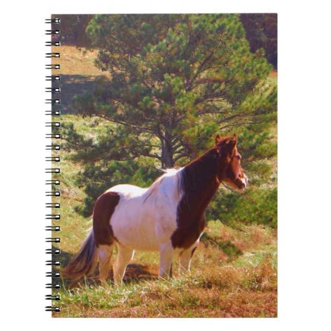 Painted Pony  by the Pine Spiral Notebook (Front)