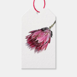Painted Protea Happy Birthday Gift Tag Set of 10