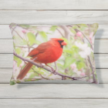 Painted Red Cardinal in Tree with Apple Blossoms
