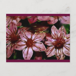 Painted Red Flowers Card