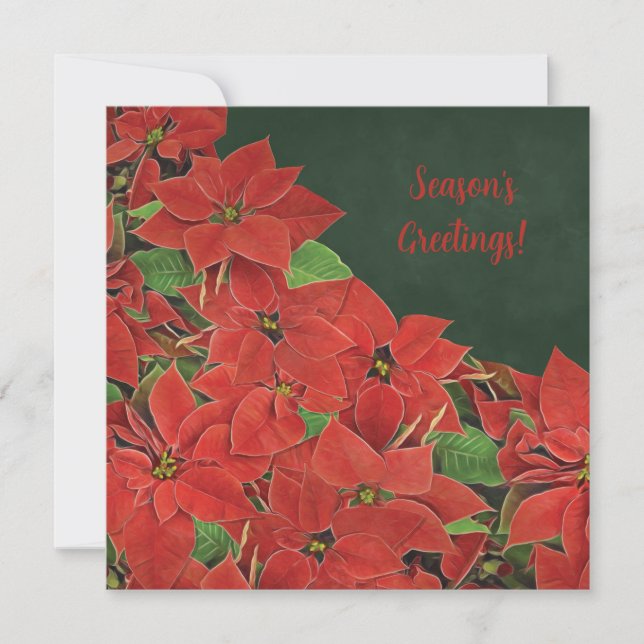 Painted Red Poinsettia Season's Greetings Card (Front)
