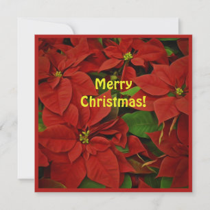 Painted Red Poinsettia Square Christmas Greeting Card
