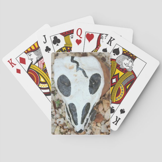painted skull playing cards (Back)