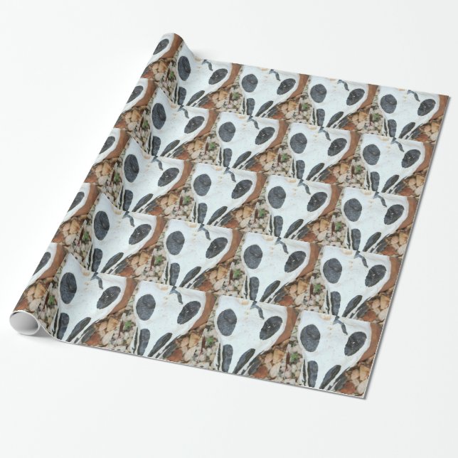 painted skull wrapping paper (Unrolled)