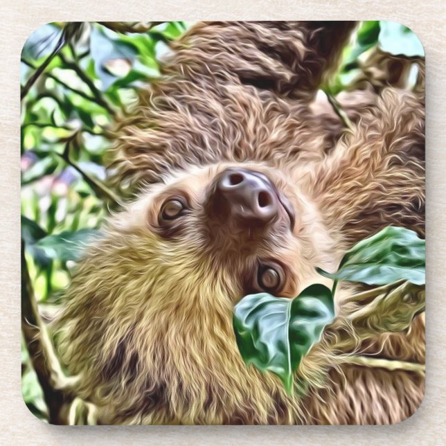painted Sloth Coaster (Front)