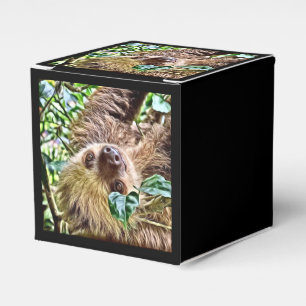 painted Sloth Favour Box