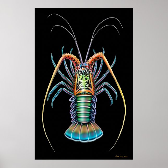Painted Spiny Lobster Poster (Front)