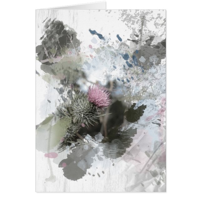 Painted thistle on textured background (Front)