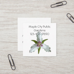 Painted Trillium Spring Wildflower Business Card
