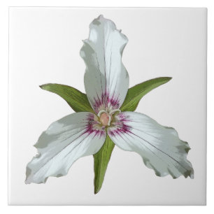 Painted Trillium Spring Wildflower Ceramic Tile