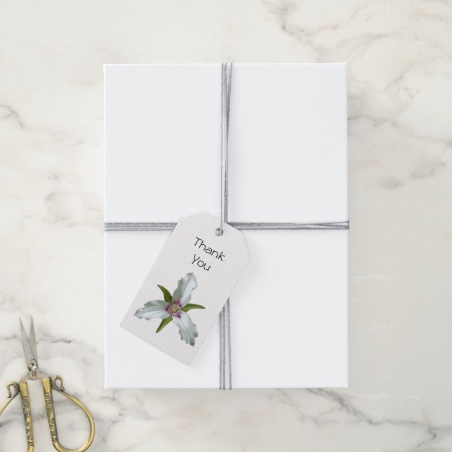 Painted Trillium Spring Wildflower Gift Tag (With Twine)