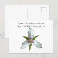 Painted Trillium Spring Wildflower Postcard