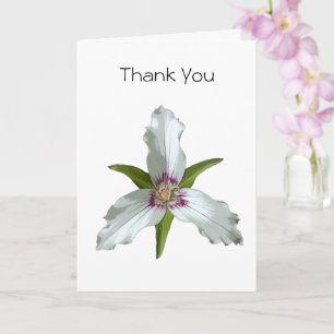 Painted Trillium Spring Wildflower Thank You Card
