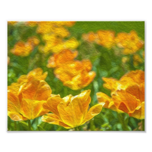 Painted Tulips Photo Print (Front)