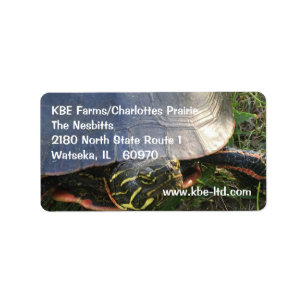 PAINTED TURTLE ADDRESS/STICKER LABEL