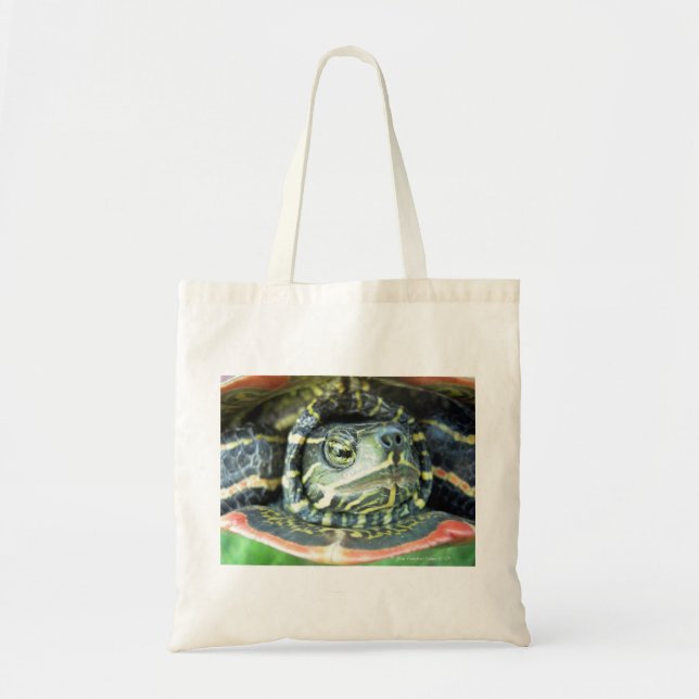 Painted Turtle (Chrysemys picta) 2 Tote Bag (Front)