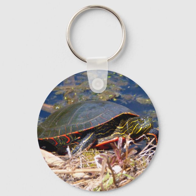 Painted Turtle (Chrysemys picta) 3 Key Ring (Front)