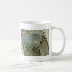 Painted Turtle (Chrysemys picta) Coffee Mug