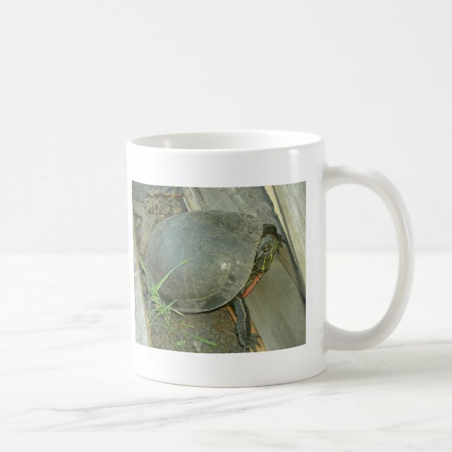 Painted Turtle (Chrysemys picta) Coffee Mug (Right)