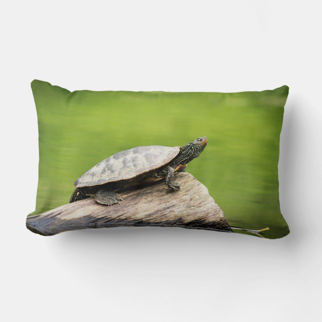 Painted Turtle on a log Lumbar Cushion (Front)
