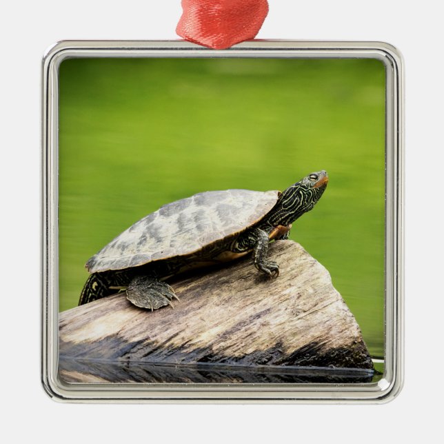 Painted Turtle on a log Metal Tree Decoration (Front)