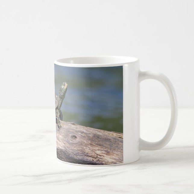 Painted Turtle on a sunny day Coffee Mug (Right)