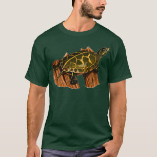 Painted Turtle Turtle Turtle Turtle Gift Turtle Dr T-Shirt