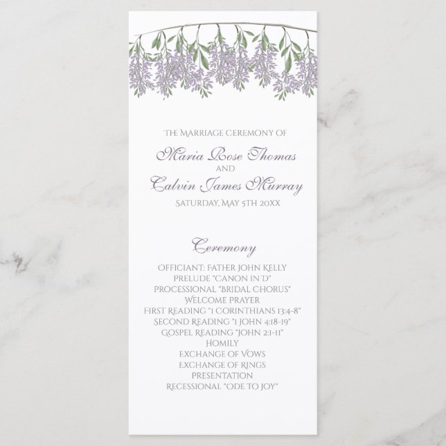 Painted Wisteria Wedding Program Programme (Front)