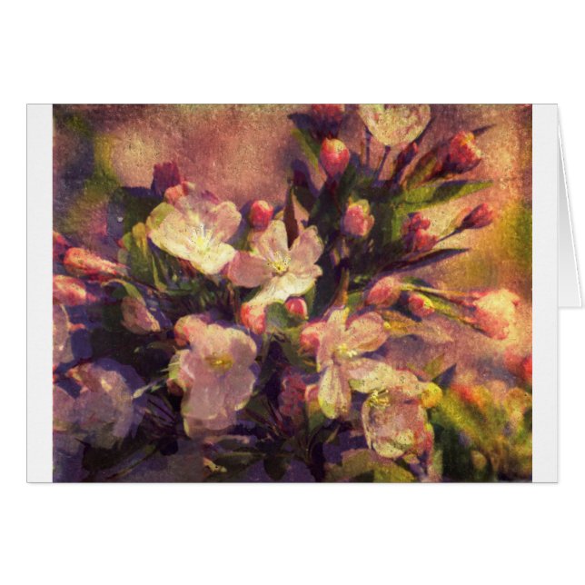 Painterly Image of Crabapple Blossom (Front Horizontal)
