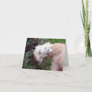 Painterly Waverly Holiday Card