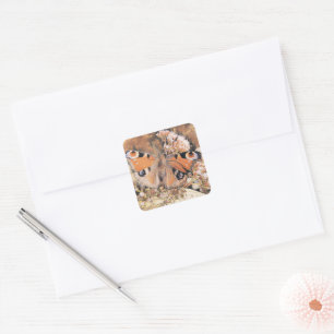 Painting of an orange butterfly on flowers square  sticker
