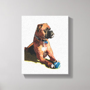 Painting of "Brodie the Boxer" Canvas Print