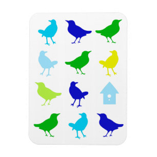 Painting of Coloured Birds by Chariklia Zarris Magnet