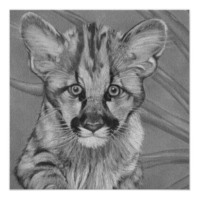 painting of cute cougar kitten big cat wildlife poster (Front)