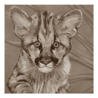 painting of cute cougar kitten big cat wildlife
