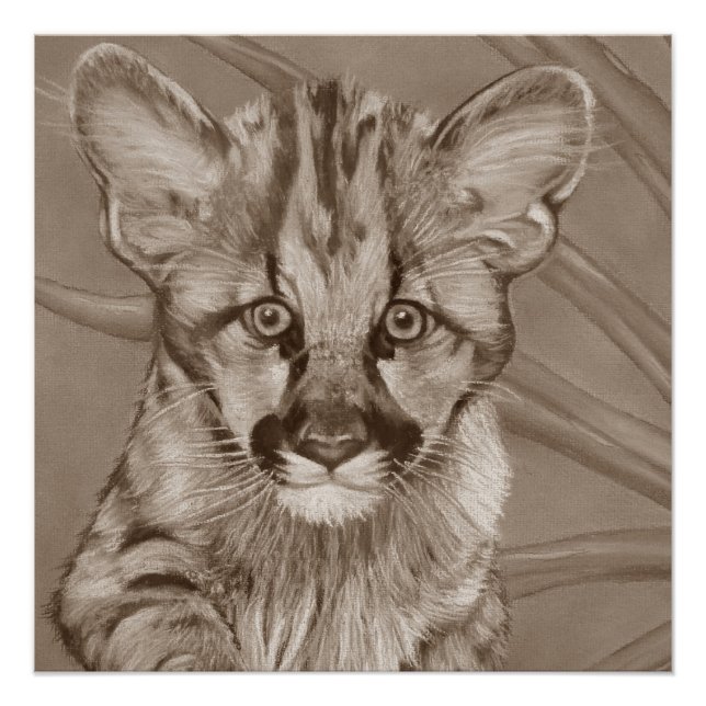 painting of cute cougar kitten big cat wildlife poster (Front)