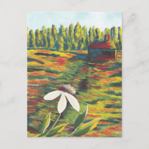 Painting of Flower Meadow & Shack Postcard