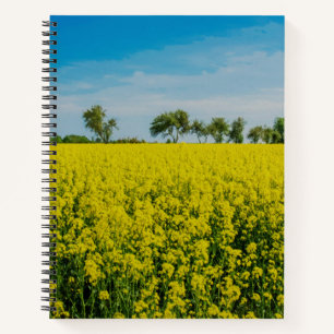 Painting of yellow flowers field notebook