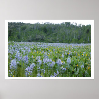 Painting the Feild Poster