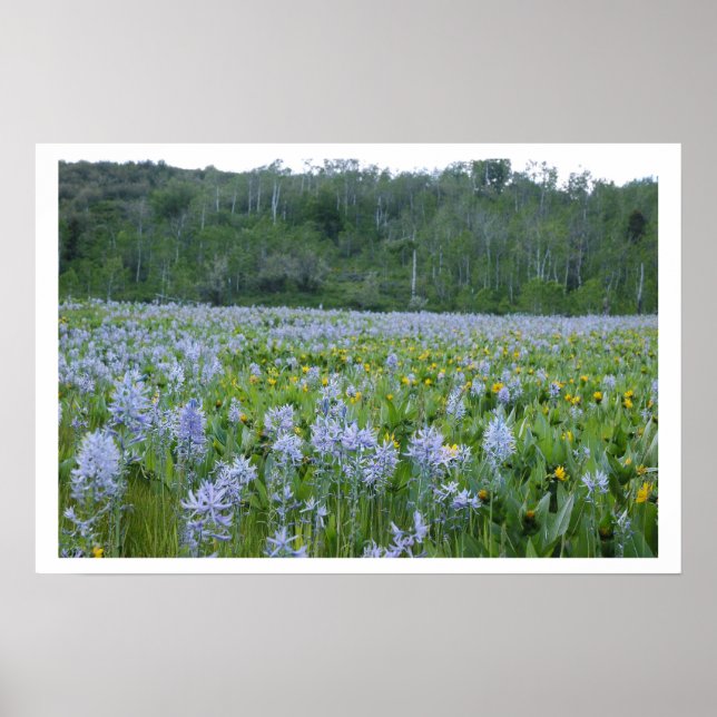 Painting the Feild Poster (Front)