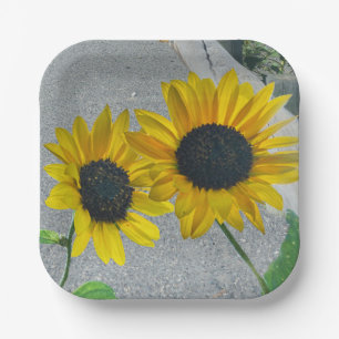 Pair 2 Sunflower yellow flowers weddings floral Paper Plate