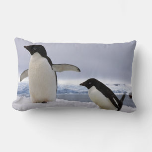 Pair Adelie penguins Antarctica Lumbar Cushion